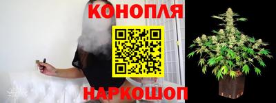 дмт Аргун