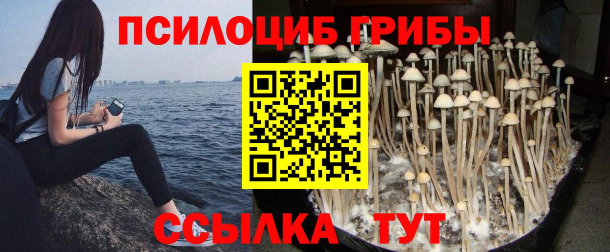 Псилоцибиновые грибы Magic Shrooms  Вход с VPN  Вышний Волочёк  Псилоцибиновые грибы прущие грибы 