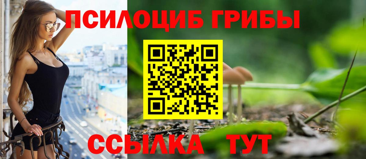 Галлюциногенные грибы ЛСД Вышний Волочёк